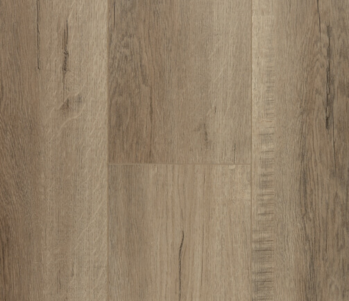 Arpa-P010