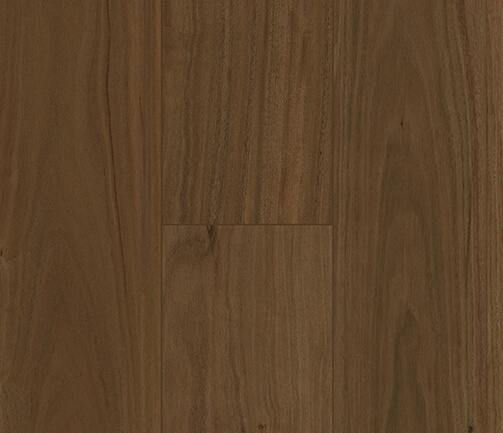 FD8801-NSW-Spotted-Gum