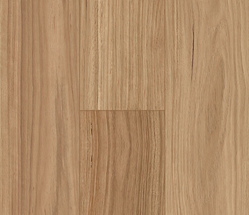 FD8802-Blackbutt