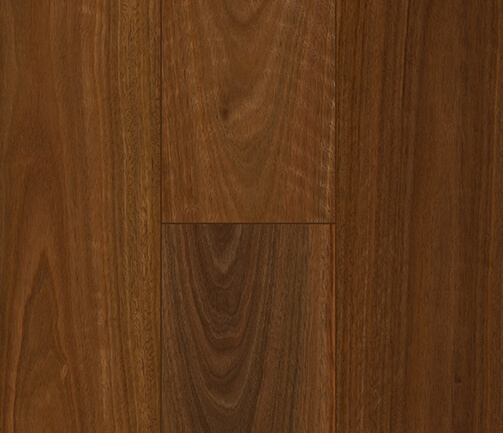 FD8804-QLD-Spotted-Gum