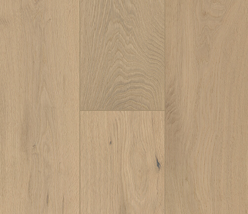 FD8809-Latte