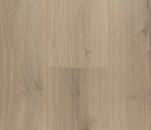 Gris-P016