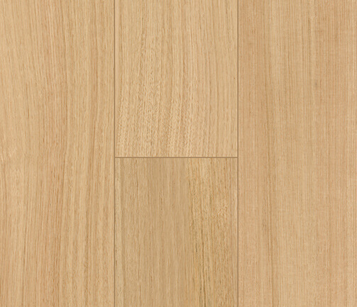 PD8803-Tasmanian-Oak