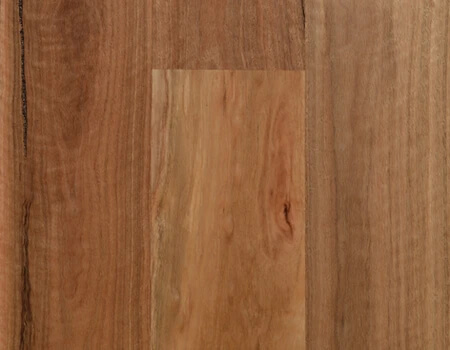 SPOTTED-GUM-STD-BETTER-180MM 1