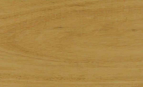 Swatch-blackbutt