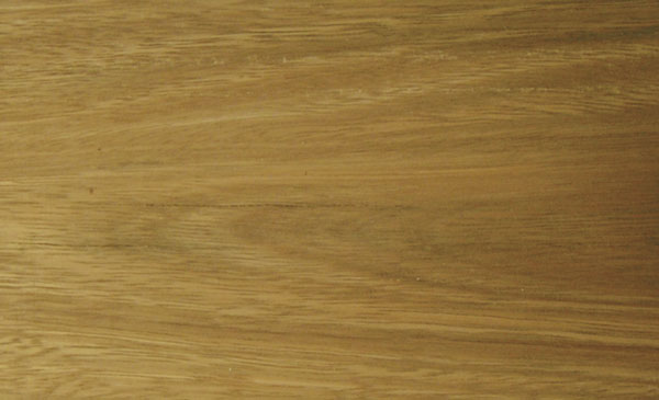Swatch-spotted-gum