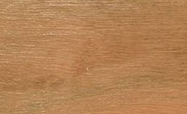 grey-ironbark-e1457389445485 1
