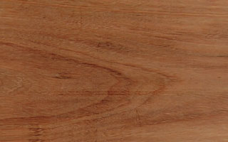 red-ironbark-1-1